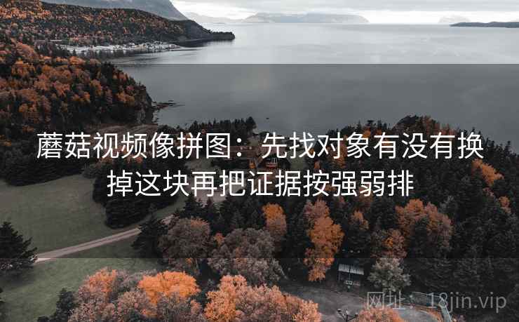 蘑菇视频像拼图：先找对象有没有换掉这块再把证据按强弱排