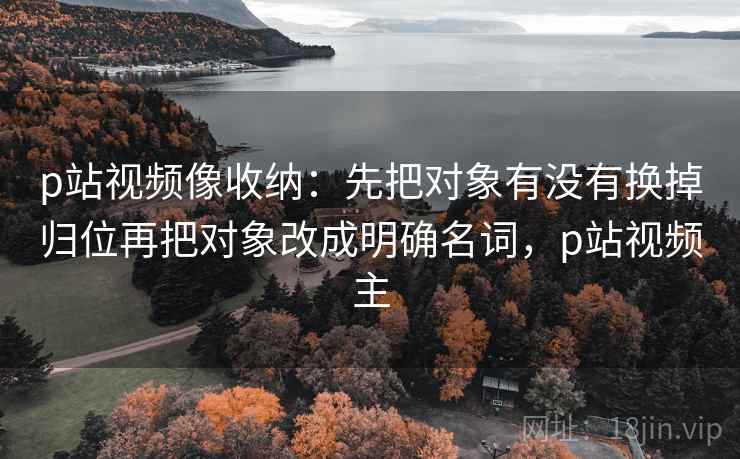 p站视频像收纳：先把对象有没有换掉归位再把对象改成明确名词，p站视频主